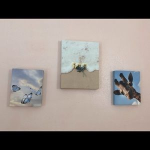 3 canvases set. 2 8x10 and 11x14